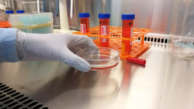 祝賀客戶樂(lè)維誘導(dǎo)多能干細(xì)胞（Ipsc）成功上市